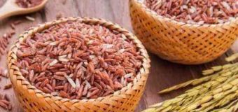 Kerala Red Matta Rice -Traditional Staple Food Matta Rice