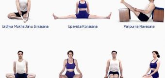 Yoga Poses – Different Types Of Yoga Asanas