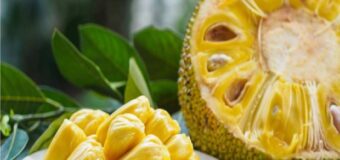 JACKFRUIT – THE CLEAN VEGAN